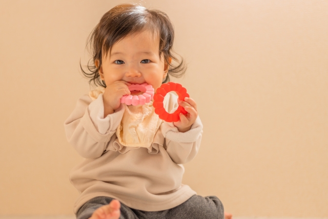 食品衛生法の遵守